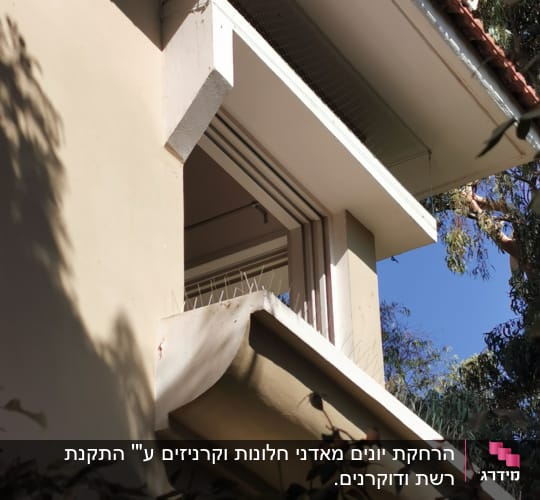 רשת ומחטים למניעת כניסת יונים על חלון